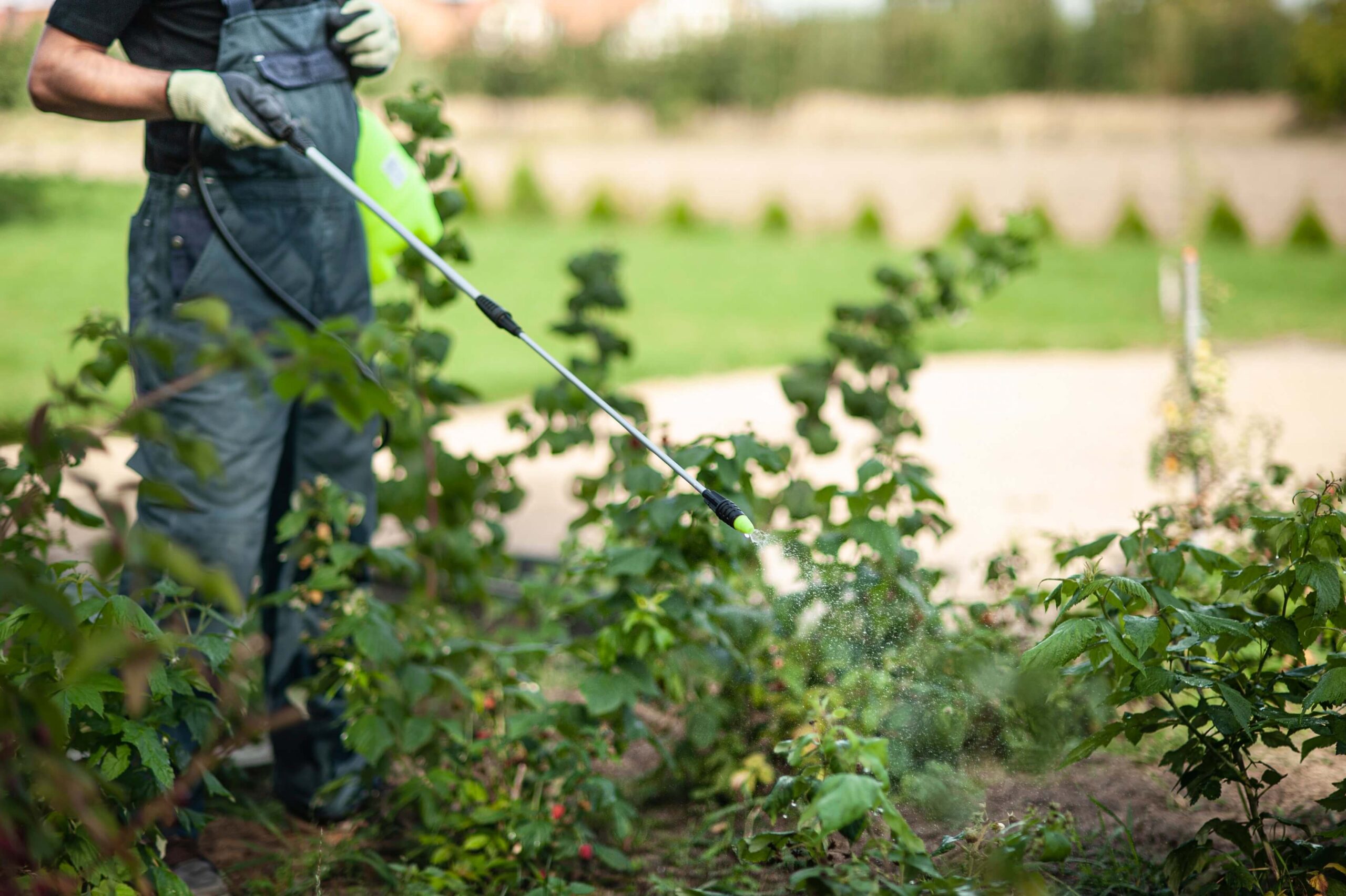 3 Consejos para Elegir tu Pulverizador Agrícola Ideal