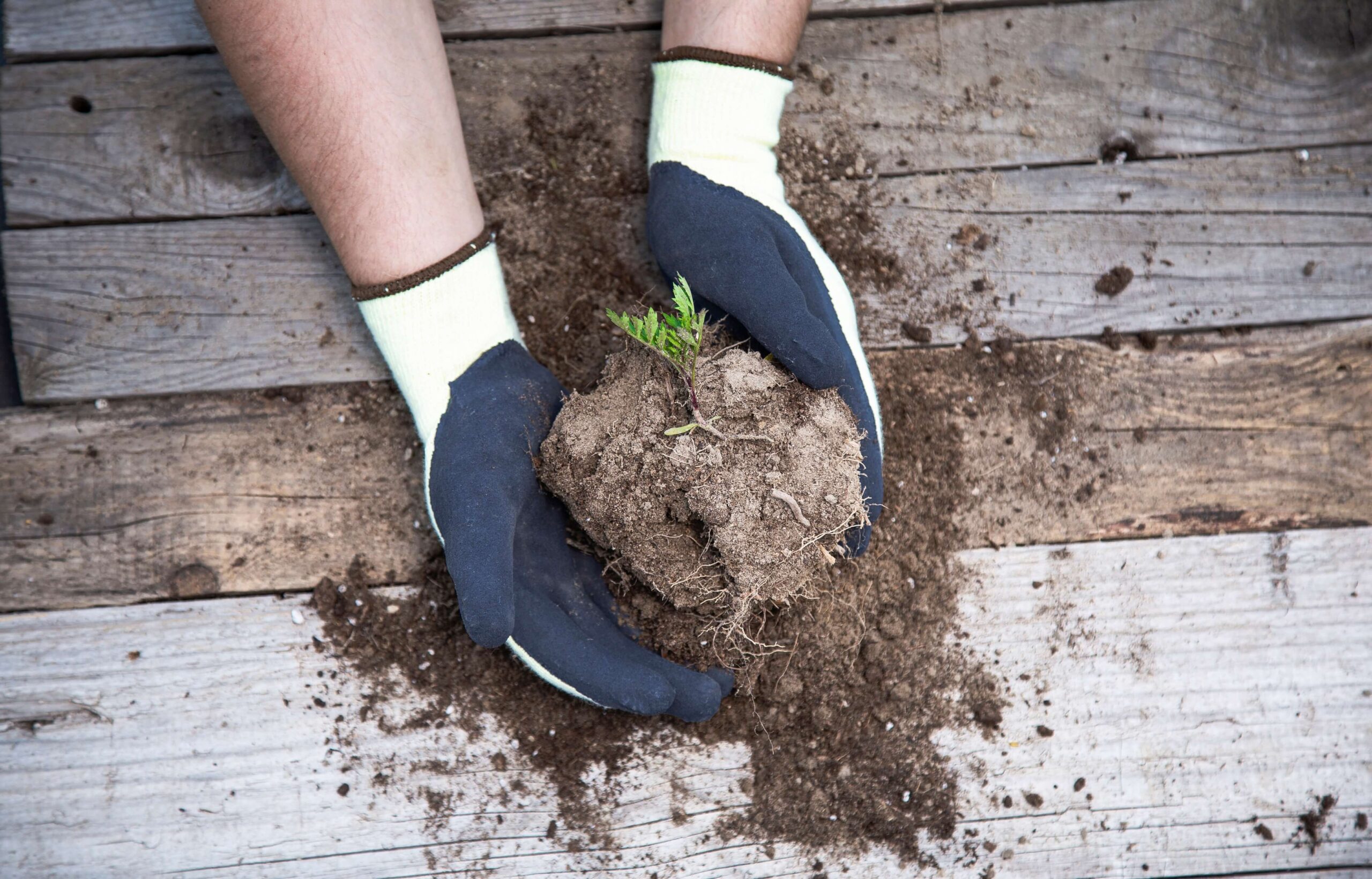 3 Razones Clave para Usar Guantes de Trabajo | Protege tus Manos