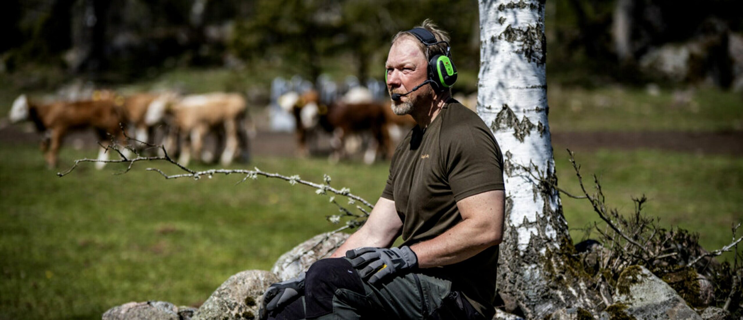 Peltor Protección: Auriculares 3M para Comunicación Segura