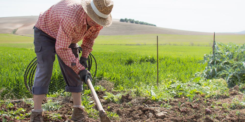 Normativa PAC 2023/2027: Claves y Novedades para Agricultores