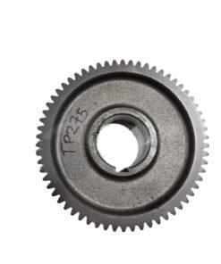 Piñon grande multiplicador