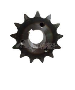 PIÑON CON CUBO Z13