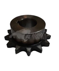 PIÑON CON CUBO Z13