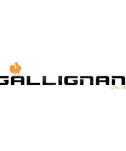 Gallignani