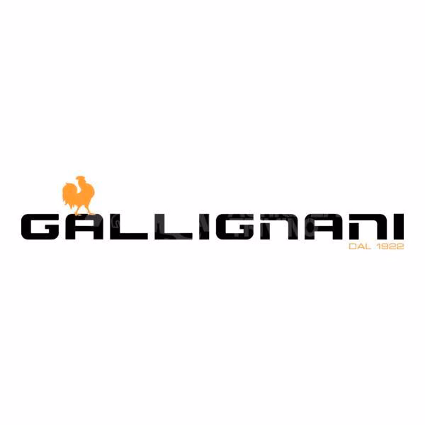 Gallignani