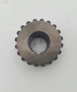 PIÑON GRUPO 2 Z-20 TOPAVI