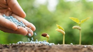 Agricultura extensiva e intensiva: ¿qué son y cuáles son sus diferencias?