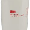 Filtro de aceite del motor