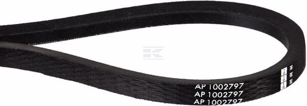Juego de correas, 4 uds.