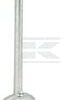 Engine oil indicator for C-360 2 Engine oil indicator for C-360