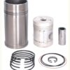 Engine repair kit for C-330 Mahle Krotoszyn