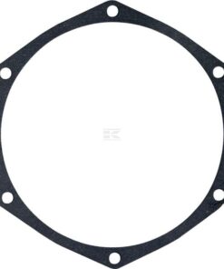 Gasket of injection pump 0050001540 for C-330