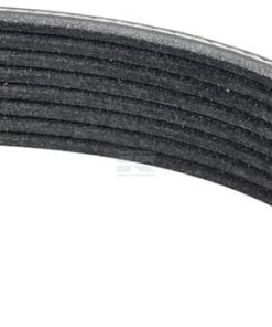 Correa trapezoidal