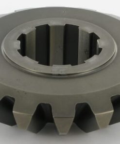 Piñón