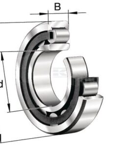 Cylindrical roller bearing