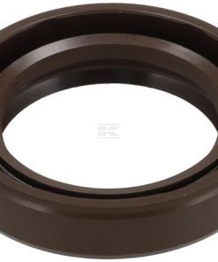 Seal BAVILDSL 24x35x7 FKM
