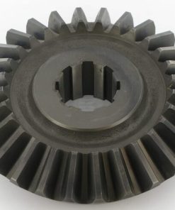 Piñón
