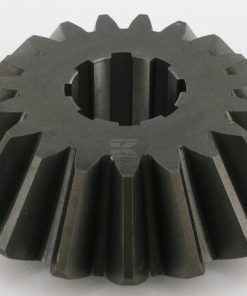Piñón