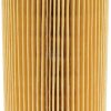 Filtro de aceite del motor SDF