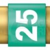 1/4" P. Torx Premium T25 x 25