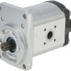 Gearpump AZPF-11-036LFBXXMD025XX-S0147
