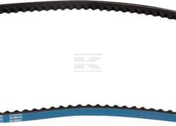 Correa trapezoidal
