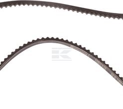 Correa trapezoidal