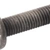 Tornillo especial