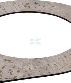 Placa de freno SDF
