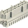 Inserto hembra E, 24 patillas, conexión Cage Clamp, 1-24