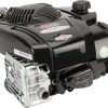 Motor, vertical, 4,4 CV, serie 625E, Briggs & Stratton
