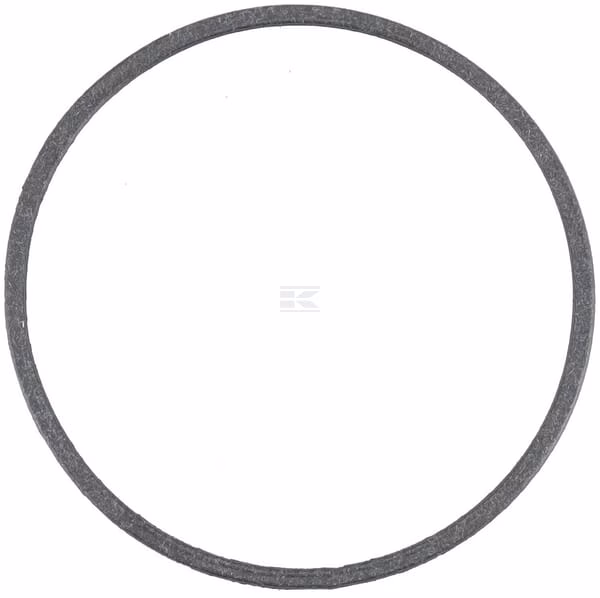 Thermostat gasket