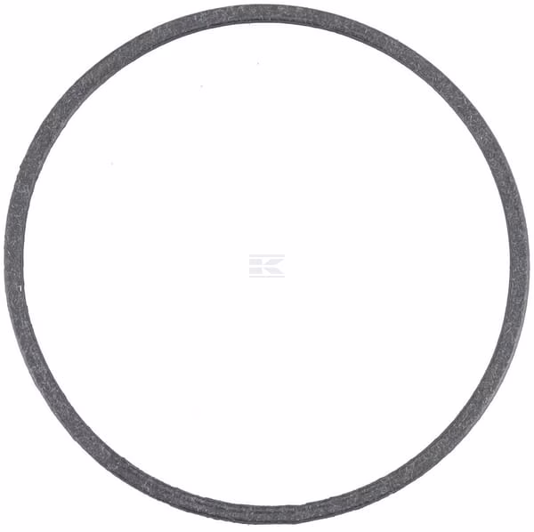 Thermostat gasket 1 Thermostat gasket