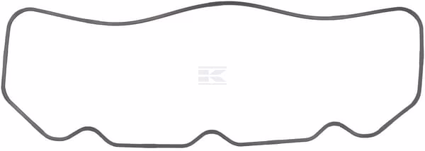 Junta tapa válvulas 1 Valve cover gasket