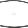 Oil seal
