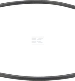 Oil seal