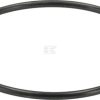 Oil seal