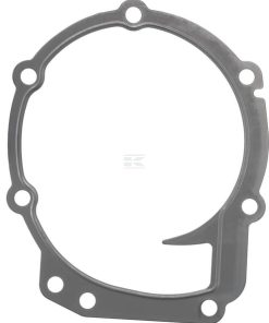 Water pump gasket