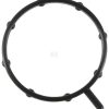 Water pump gasket 2 Water pump gasket