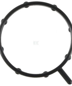Water pump gasket