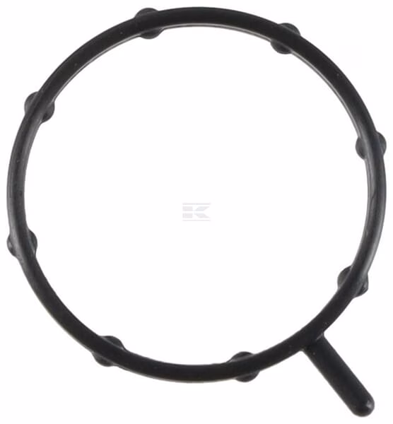 Junta de la bomba de agua 1 Water pump gasket
