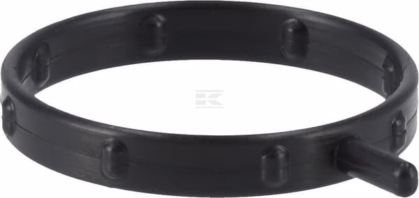 Junta de la bomba de agua 2 Water pump gasket