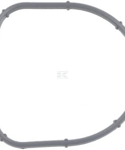 Thermostat gasket