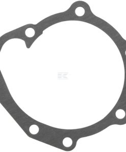 Water pump gasket