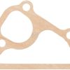 Water pump gasket