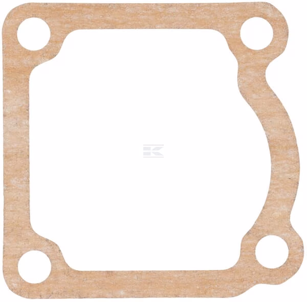 Thermostat gasket