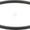 Fuel pump seal