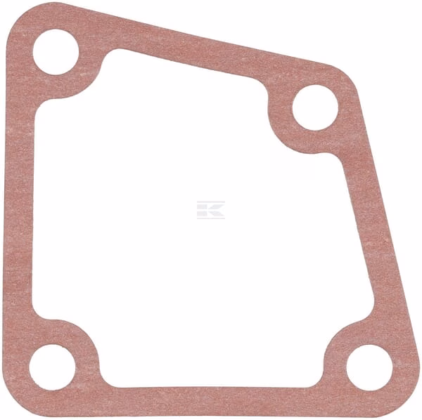 Junta del termostato 1 Thermostat gasket