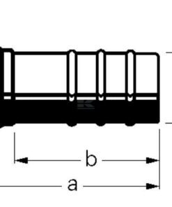 Hembra 6