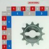 Piñón intercambiable de 12 dientes